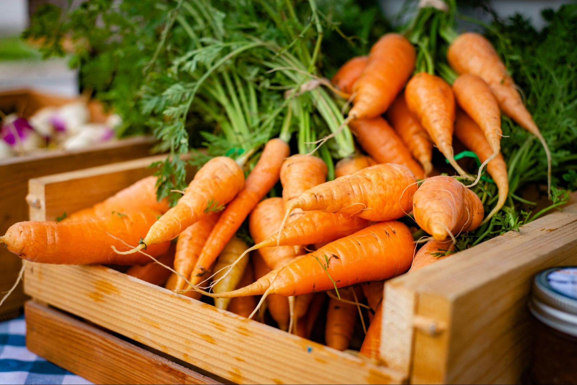 Can Carrots Enhance Your Eyesight? – Explained