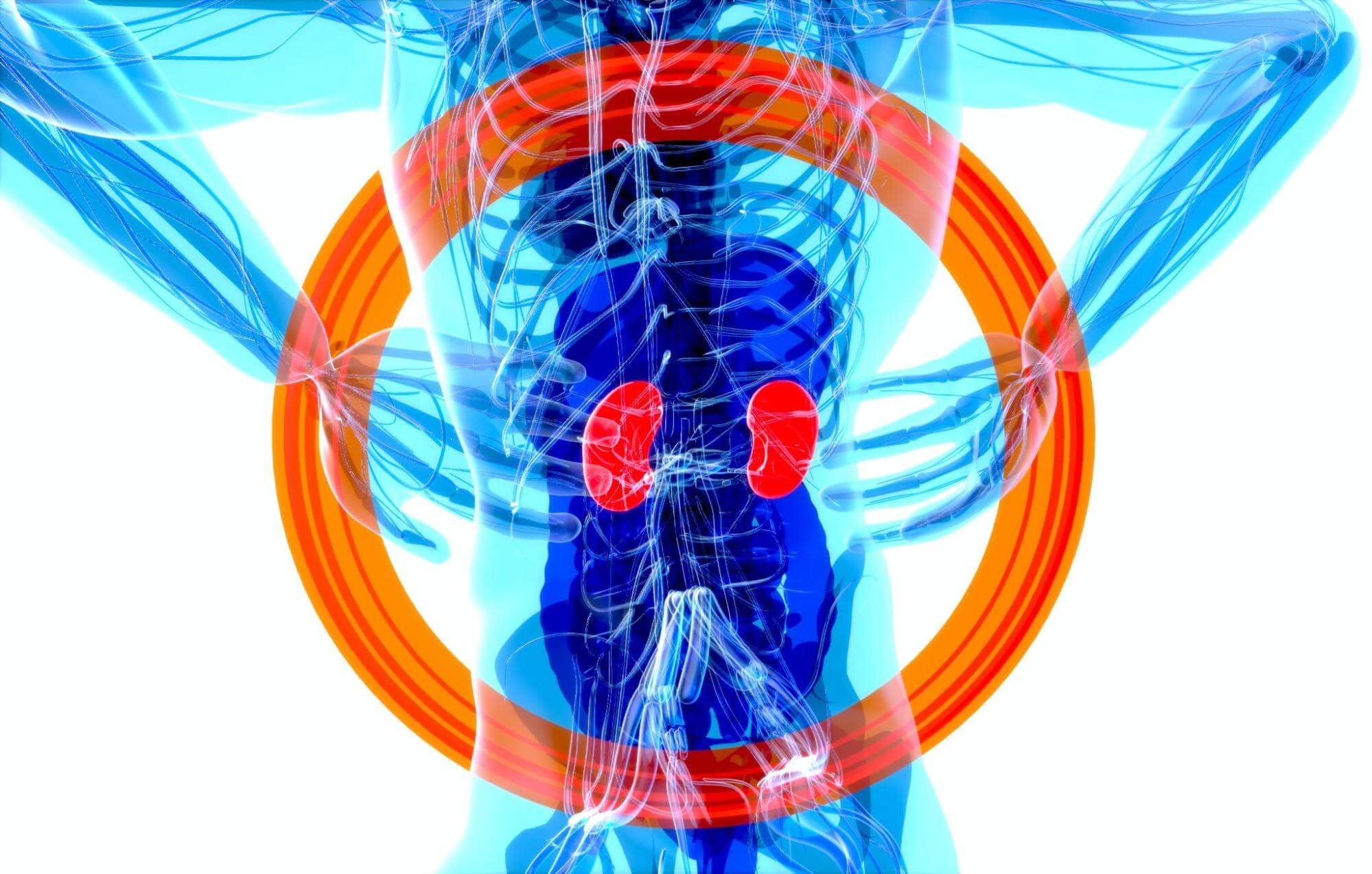 Effective Ways to Flush Your Kidneys and Liver
