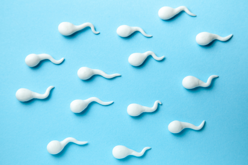 Exploring the Relationship Between Low Testosterone and Low Sperm Count