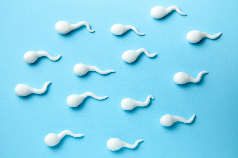 Does Low Testosterone Cause Low Sperm Count?